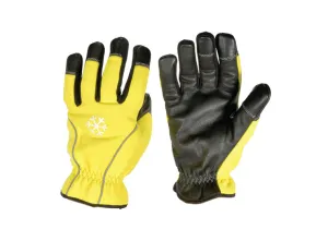 # 16701  COLD WEATHER GLOVES, XL