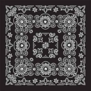 BD2508 Bandana Texas Paisley Black [27" x27"]