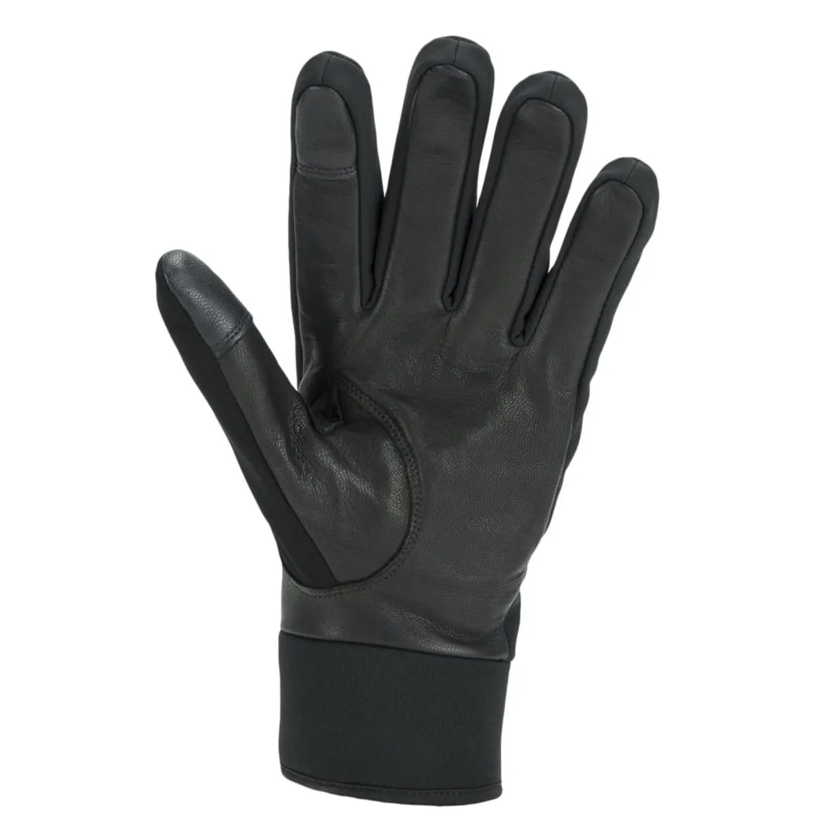 Sealskinz Men's Waterproof All Weather Insulated Gloves (Size L)