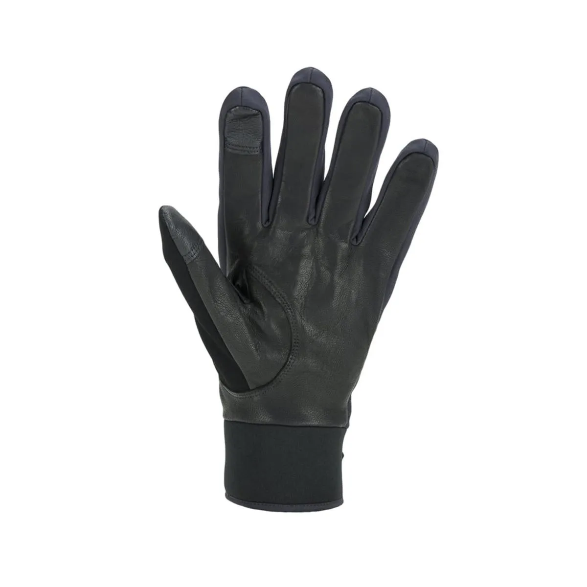 Sealskinz Men's Waterproof All Weather Insulated Gloves (Size L)