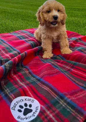 Tartan Pet Blanket - Large (2 Colours)